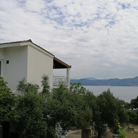 Apartments Bozo Drače Dış mekan fotoğraf